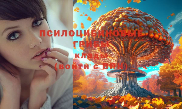 прущий лед Алексеевка