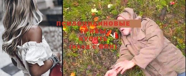 прущая мука Алзамай